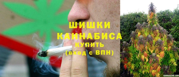 ГАЛЛЮЦИНОГЕННЫЕ ГРИБЫ Верхний Тагил